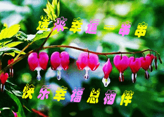 微信表情导入制作技巧——常用微信表情集锦