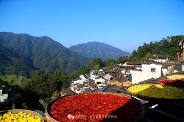 点击放大