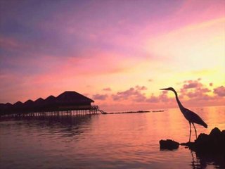 上海风水龙脉-上海风水宝地-上海城市风水-上海
