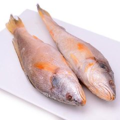 珠海横琴口岸截获40余公斤违规泰国鲜鱼