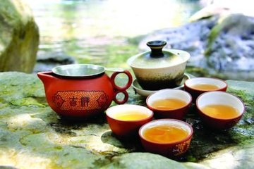 饮茶一辈子能长寿！茶叶院士谈喝茶