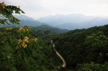 八百里伏牛山