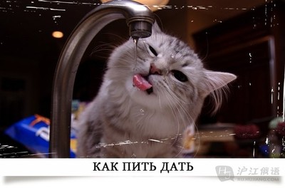 趣味俗语小知识как пить дать 趣味俗语小知识как пить дать