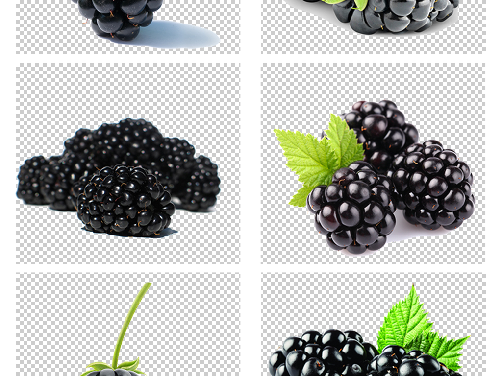 马林果与桑葚的区别_黑莓和桑葚的区别_黑莓q20和q10的区别