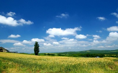 田园图片大全风景