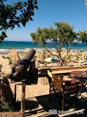 Amazing Beach Bar_史塔利思Nemo Beach Ba Amazing Beach Bar_史塔利思Nemo Beach Ba
