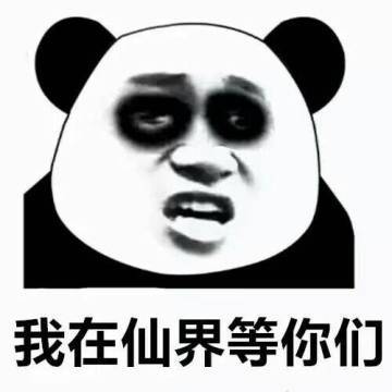 不修仙了表情包