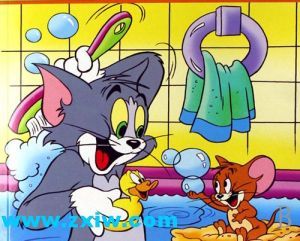 猫和老鼠的动画图片