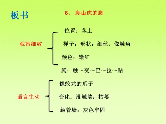 数学表格式教案_教案 表格式_爬山虎的脚表格式教案