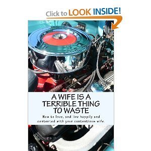 A Wife Is A Terrible Thing To Waste How to lov A Wife Is A Terrible Thing To Waste How to lov