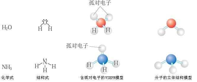 原子电子层结构_nh3原子最外层为8的电子结构_原子结构的结构