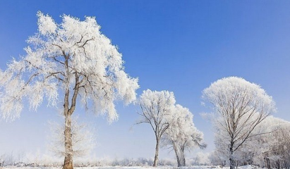 形容下雪优美句子