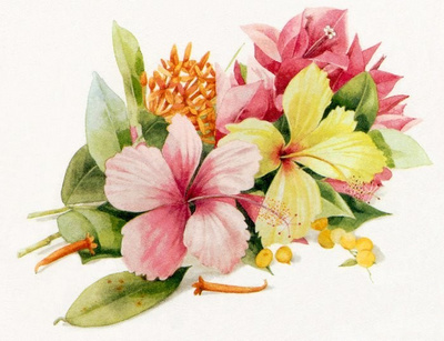 Marjolein Bastin. Об.@chyi93采集到水彩 Fl Marjolein Bastin. Об.@chyi93采集到水彩 Fl