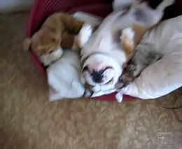 идео про людей новые по идео про людей новые по