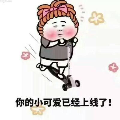 我的小可爱在吗滑稽表情