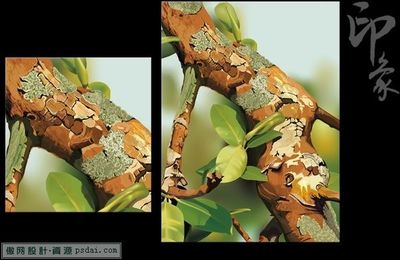 最新AI教程《Illustrator CS3 印象质感绘画表现 最新AI教程《Illustrator CS3 印象质感绘画表现
