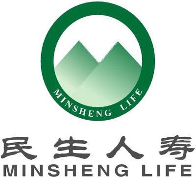 民生人寿保险股份有限公司官网